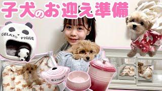 【子犬のお迎え準備】ななぽの妹を紹介かわいすぎる妹にグッズが止まらない【Cuugal】