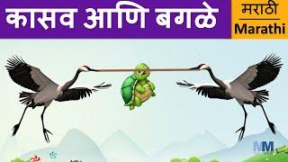 कासव आणि बगळे | Tortoise and Herons in Marathi | Story  @mastermarathi