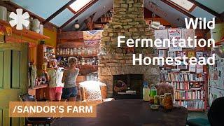 Left city to pioneer wild fermentation in tranquil off-grid homestead