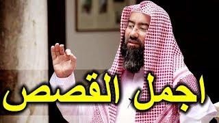 اجمل 5 قصص حقيقية رواها الشيخ نبيل العوضي