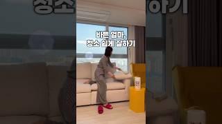 쉽고 빠른 청소템!!99.9% 세정 살균 티슈