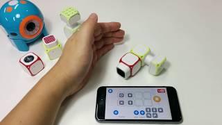 Cubroid Coding App - Self-Driving Car Project