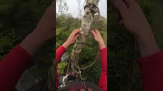 Half hitch rigging #knot #skills #climbing