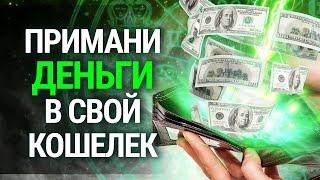 ПОЛОЖИТЕ ЭТО В КОШЕЛЕК! Какие талисманы приманят к вам ДЕНЬГИ