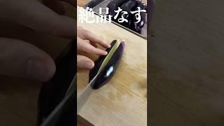 【絶品なす】料理人が教える簡単レシピ #shorts