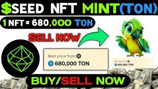 Seeds NFT Mint $20,000 | Seeds New NFT Mint Updates | Tomarket Listing Updates