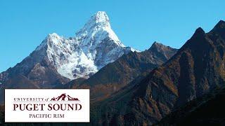Changing the World with the University of Puget Sound | The College Tour
