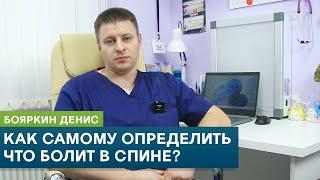 Как самому определить что болит в спине? Виды болей в спине. Врач-кинезиолог Бояркин Денис