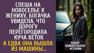 Спеша на новоселье к жениху, богачка увидела, что дорогу загородила куча веток… А едва выйдя из авто