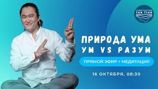 Природа ума. В чем разница между умом и разумом | Прямой эфир + медитация | Ян Тиан