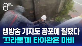 생방송 기자도 공포에 질렸다…'끄라톤'에 타이완은 마비 / SBS 8뉴스