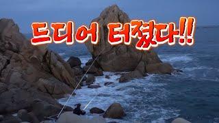 방파제 바로 앞까지 최고급 대물들이 붙었다!! /Sea fish that you must eat in fall!!