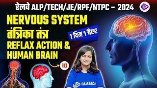 RRB ALP/TECHNICIAN/JE/ RPF/NTPC 2024 | Shipra Mam | Nervous System | तंत्रिका तंत्र