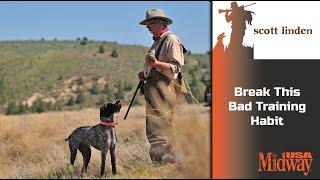 Avoid This Bad Training Habit with Your Hunting Dog | Scott Linden