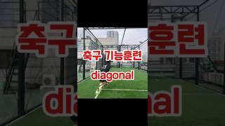 손흥민 이강인. 홍명보도 축구기능 훈련  diagonal #Shorts #축구훈련