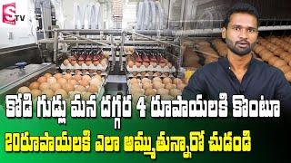 Hens Farming | Harvesting chicken eggs│Building low-cost chicken  Eggs| Achyuth Reddy SumanTv Rythu