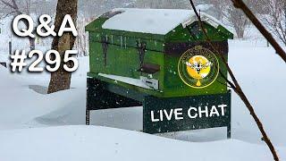 Backyard Beekeeping Q&A #295 LIVE Chat Edition, Die-Off Update, warmup coming soon.