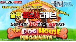 [슬롯] 슬롯용도사 [68일차] 5월14일 저녁방송 더 도그 메가 하이라이트 영상 #game #slot #슬롯 #슬롯용도사