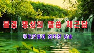 매일 명상의말씀 들어라 ! 명상의 등불 마음의글 명상의말씀 , 엄주환 낭송