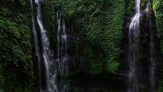 Beautiful Nature/Waterfall WhatsApp status 2021/#shortvideo