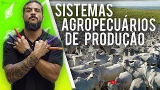 Sistemas Agropecuários de Produção - Geobrasil