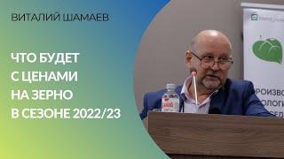 «Рынок уснул и ничего не обещает»: что будет с ценами на зерно в сезоне 2022/23