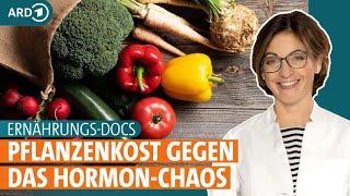 PCO-Syndrom: So hilft Pflanzenkost gegen das Hormon-Chaos | Die Ernährungs-Docs | ARD Gesund