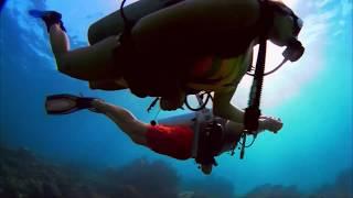 Farr + Swit Seaplane Define Your Time Short