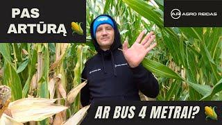 KUKURŪZAI PAS ARTŪRĄ || AGRO REIDAS