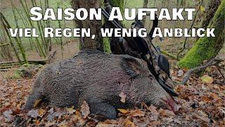 Drückjagd Saison Auftakt - viel Regen, wenig Anblick