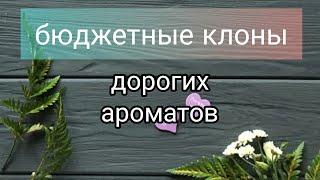 Бюджетные клоны дорогих ароматов. #клоны дорогих духов