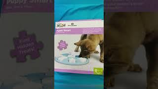 Mocha’s Toy Review 2- The Puppy Smart