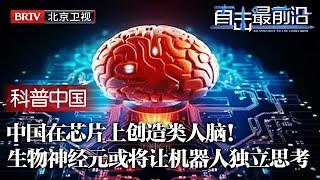 中国实现再造大脑！在芯片上培养出类脑组织，可直接植入机器人，机器人未来或将独立思考 【科普中国直击最前沿】