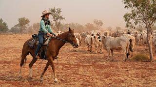 Big Wave Riders: Wave Hill Station, NT