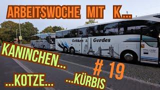 BUS Doku # 19 | Kleinkramwoche mit K - Kaninchen, Kotze, Kürbis | Reisebus Fernfahrer deutsch