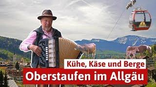 Oberstaufen im Allgäu - Urlaub mit Kühen und Käse