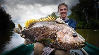 MONSTER Papuan BASS on Topwater - Indonesia Ep. 10