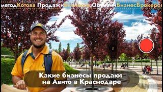  Бизнес брокер в Краснодаре, продажа бизнеса, купитьбизнес #бизнесброкер #продатьбизнес #Котов