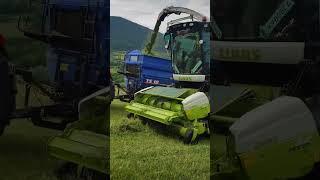 Grass forage Claas Jaguar 970 + Case IH 195 cvx