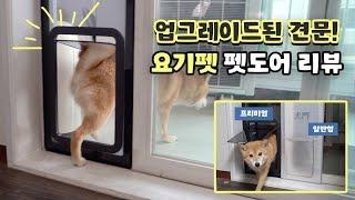 베란다에서 배변활동을 하는 강아지, 고양이를 위한 요기펫 프리미엄 펫도어 / 캣도어 (Pet Door) 리뷰 | 시바견니케