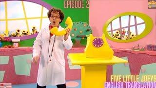 The Latin American Wiggles - Five Little Joeys (English Translation/Song Only Version)