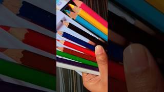 Dom's pencil colour review  #art #shorts #trending  #viral