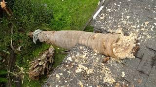 Atlanta Storm Damage | The Homestar Group