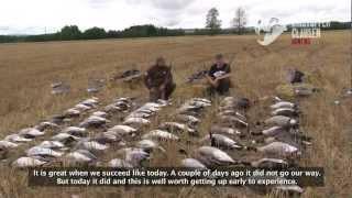 Kristoffer Clausen Hunting TV, Episode3, Hunting pigeons and geese, Actionpacked!