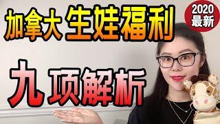 移民加拿大生孩子每年政府会发多少钱？|加拿大生育福利2020最全解析|产假津贴有多少|哪些产检项目不免费？