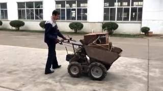 Test video of mini dumper BY350-ANT Machinery