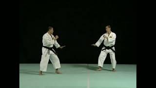 Ryu Sui Geri ( Ushiro ) | Ryu Sui Geri ( Mae ) | Shorinji Kempo Tekhnik | Waza