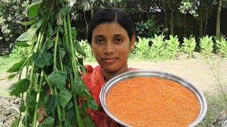 Pui Shak & Masoor Dal Recipe | Basella Spinach and Lentil Curry Cooking By Street Village Food