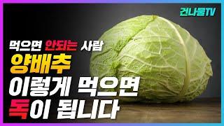 더 이상 양배추 그냥 먹지 마세요! 부작용 꼭 확인 하세요