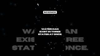 Water states - Science fact  - Daily Facts #3 #fyp #science #xonovids #facts